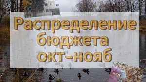 РАСПРЕДЕЛЕНИЕ БЮДЖЕТА ОКТ-НОЯБ