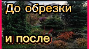 Один уголок сада готов к зиме.