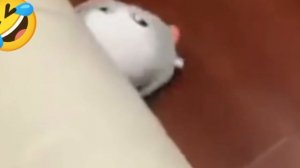 без комментариев...