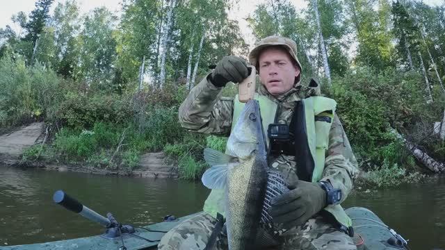 🔺️🎣ТРОФЕЙЫЙ СУДАК🎣🔺️fishing#туризм#природа#ловля#рыбалка#щука#ловлящуки#ночевка#Чулым#река#спин