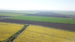 Я был там счастлив, но возврата нет