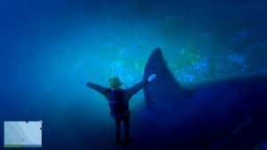 НАШЁЛ ОГРОМНОГО МЕГАЛОДОНА в ГТА 5! САМАЯ БОЛЬШАЯ АКУЛА МЕГ В GTA 5 ОНЛАЙН