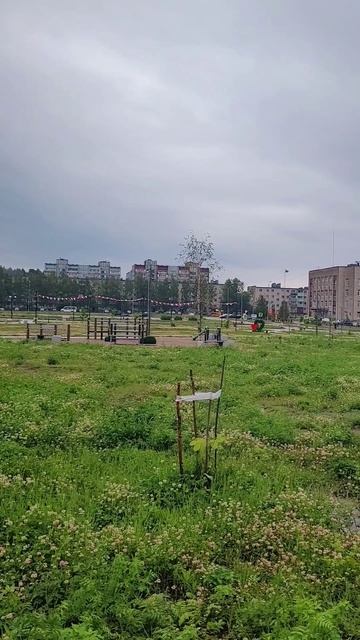 Карелия 2025. Питкяранта. Июль 2025г (Часть 3) смотреть онлайн