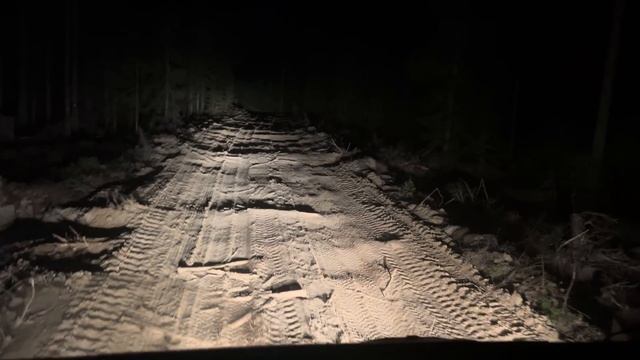 На лесовозе! Пески, плиты, настил! Всё как я люблю!!! смотреть онлайн