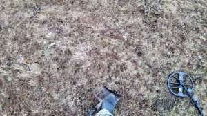 Копаю советы с Minelab EQUINOX 900 (2K)