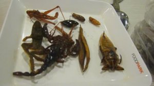 Поедание насекомых в Таиланде