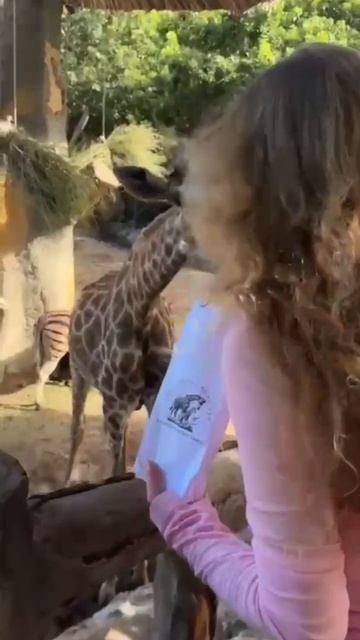 Немного солнечного Вьетнама вам в ленту))) смотреть онлайн