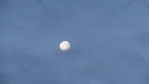 Луна утром 07 11 2025