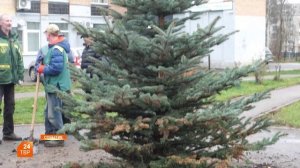 Событие 07.11.2025