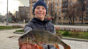 Мормышинг. Отправились на Москву-реку половить бычков, но на тончайшую снасть попался ОН!