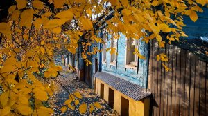 Ноябрьское солнце. Курск.