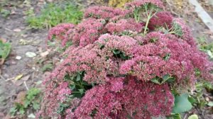 #какой красивый ноябрь