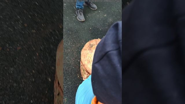 2025 11 02 ПРАЗДНИК ОТ РУССКОЙ ОБЩИНЫ 4К.mp4