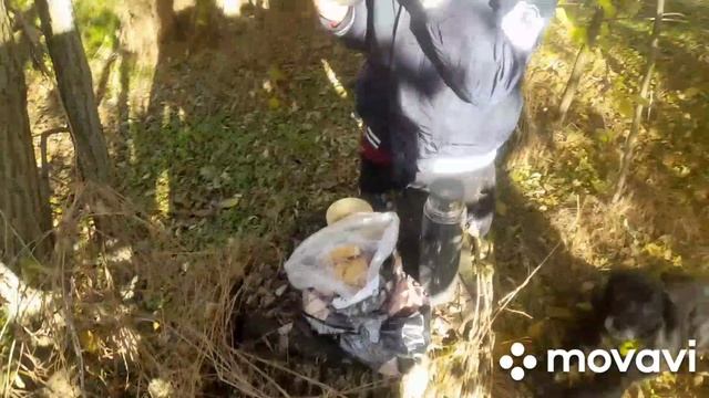 ОТКРЫТИЕ НА ЗАЙЦА. 1.11.2025 #Охота #хобби #заяц #осень #деревня #охотаназайца смотреть онлайн