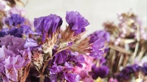 Уж 3 день мы королевы, и нас поддерживают высшие силы, так сказал Оракул!!!