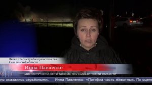 06.11.2025 Полторы тысячи свиней погибли при пожаре в «Мерси Агро Сахалин»