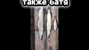 Вот так всегда