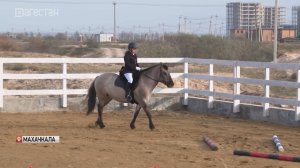 Первый конный клуб иппотерапии открылся в Дагестане