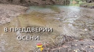 В преддверии осени