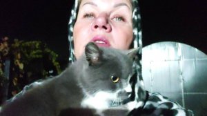 Золотой Краснодар. Приятные и полезные . Избавились от кур.