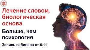 Лечение словом, биологическая основа. Больше, чем психология. Запись вебинара.