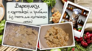 Вареники с картошкой и грибами (из теста для китайской лапши)