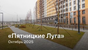 «Пятницкие Луга» / октябрь 2025