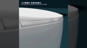 Умный туалет.