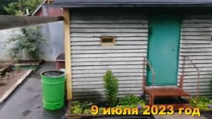 7 соток. Хроника  Дача Июль 2023 год-