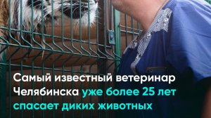 Самый известный ветеринар Челябинска уже более 25 лет спасает диких животных