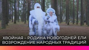 Анастасия Леодорова приступила к реализации проекта «Хвойная – родина новогодней ели»