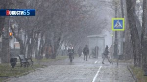 Администрация города или мошенники? Злоумышленники продолжают обкрадывать жителей областного центра