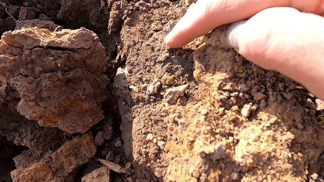 Нашла средневековые артефакты на распаханном поле!