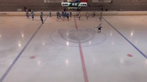 2014: Первенство СФО по хоккею среди юношей (день 5)