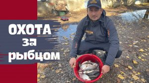 ЛОВЛЯ ФИДЕРОМ ОСЕННЕГО РЫБЦА. ОТЛИЧНЫЙ УЛОВ В НЕБЛАГОПРИТНЫХ УСЛОВИЯХ.