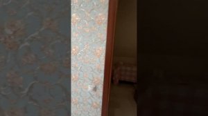 Вареновка 30