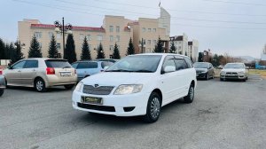 Toyota Corolla Fielder, 2006 год