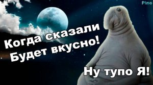 #16 В ожидании вкуса. А вы Ждун?