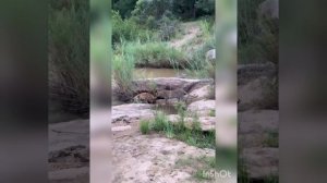 День начос !😊