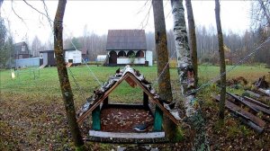 Поползень на кормушке