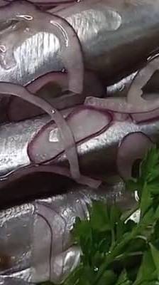 Маринованная мойва