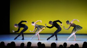 Культурная эволюция. 7 ноября