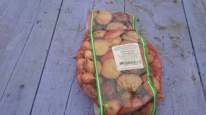 17.10.25г.     Посадка🧅🧅🧅 ЛУКА  под Зиму!!!👍👍👍🙂