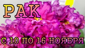 РАК таро прогноз на неделю с 10 по 16 НОЯБРЯ 2025 года.