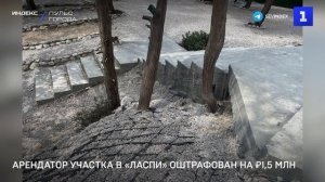 Арендатор участка в «Ласпи» оштрафован на ₽1,5 млн