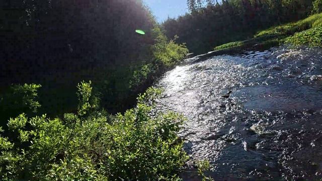 Рыбалка на таежной речке. Разговоры о рыбалке и охоте старого поколения и нынешнего. смотреть онлайн