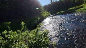 Рыбалка на таежной речке. Разговоры о рыбалке и охоте старого поколения и нынешнего.