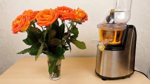 СОК из Лепестков РОЗЫ. Вкуснейший нектар или Гадость alex boyko