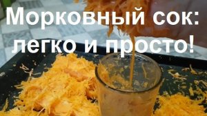 251107 Цена моркови Пою Нанэ цоха нанэ гад Как сделать морковный сок быстро легко прост Выжимаю сушу