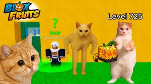 БЛОКС ФРУТС но КОТИКИ🍈🌊от НУБА до ПРО в 2 мире РОБЛОКС ИСТОРИЯ КОТОВ МЕМЫ и ПРИКОЛЫ мультики